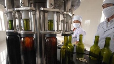 Enchimento personalizado da garrafa do equipamento/vinho da máquina de enchimento do vinho/engarrafamento de vinho
